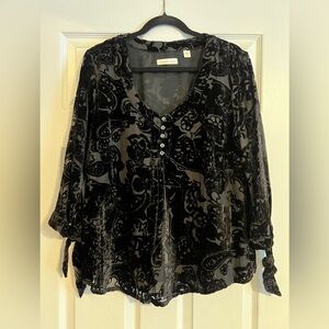 Coldwater Creek Black Velvet Burnout Blouse